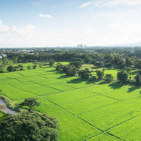Land or landscape in aerial view consist of sky, green field or